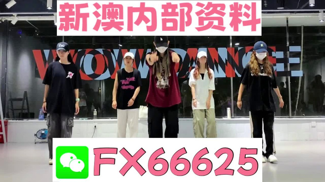 新奧天天免費資料大全——探索與優化的SEO之旅，新奧天天免費資料大全，SEO探索與優化之旅