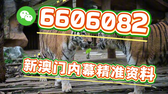 澳門今晚必開一肖一特，探索生肖彩票的魅力與預(yù)測，澳門生肖彩票探索，魅力揭秘與今晚預(yù)測一肖一特