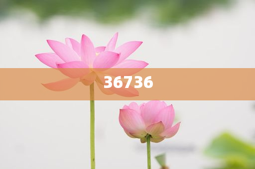 揭秘7777788888精準(zhǔn)新傳真,真相大揭秘,揭秘精準(zhǔn)新傳真背后的真相,77777與88888的神秘面紗被揭開