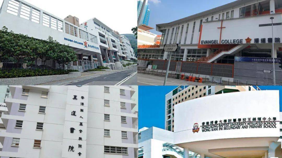 香港免費公開資料大全,探索無盡的資源寶庫,香港免費公開資料寶庫,無盡資源探索之旅