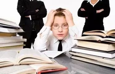 三肖必開一期王中王，揭秘背后的秘密與策略，揭秘三肖必開一期王中王的秘密與策略