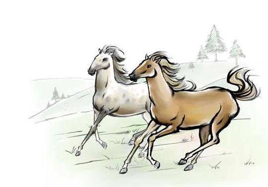 今期必劉伯溫打一生肖——探尋生肖奧秘與傳奇人物劉伯溫的關聯，劉伯溫與生肖奧秘，探尋傳奇人物與生肖的關聯