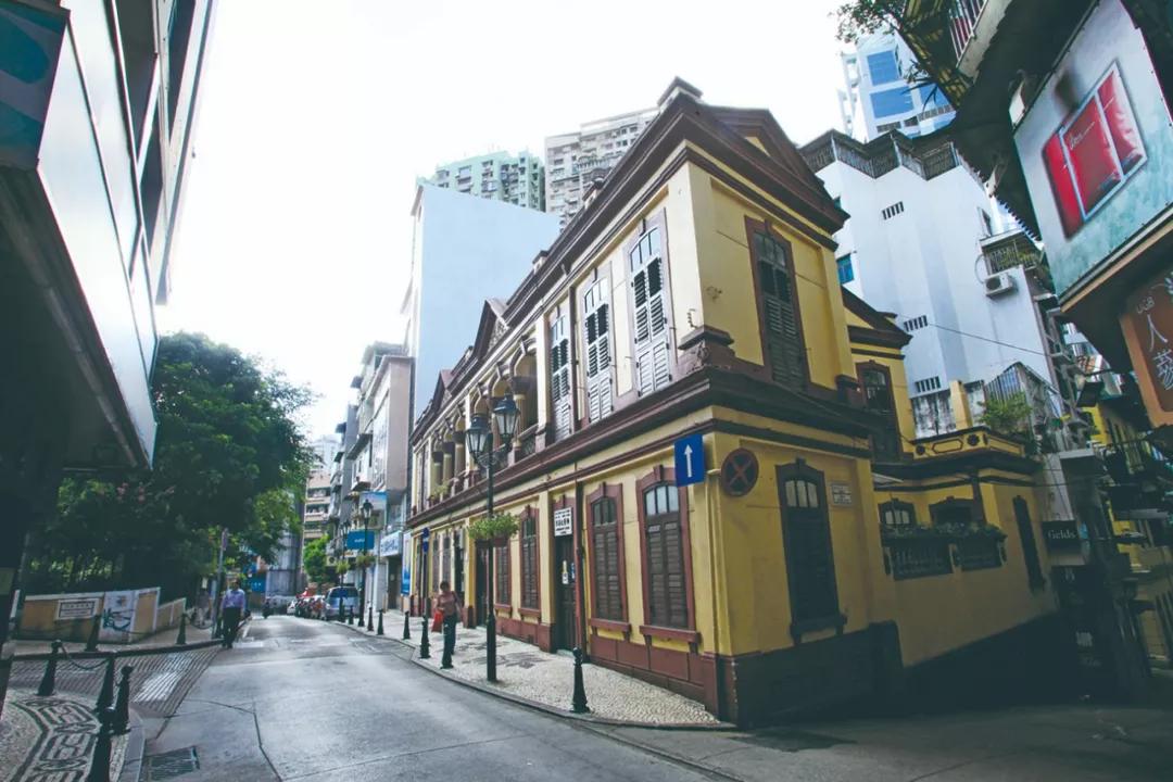 澳門三期內必開一肖——揭秘生肖彩票的奧秘,揭秘澳門生肖彩票三期必開一肖的神秘面紗