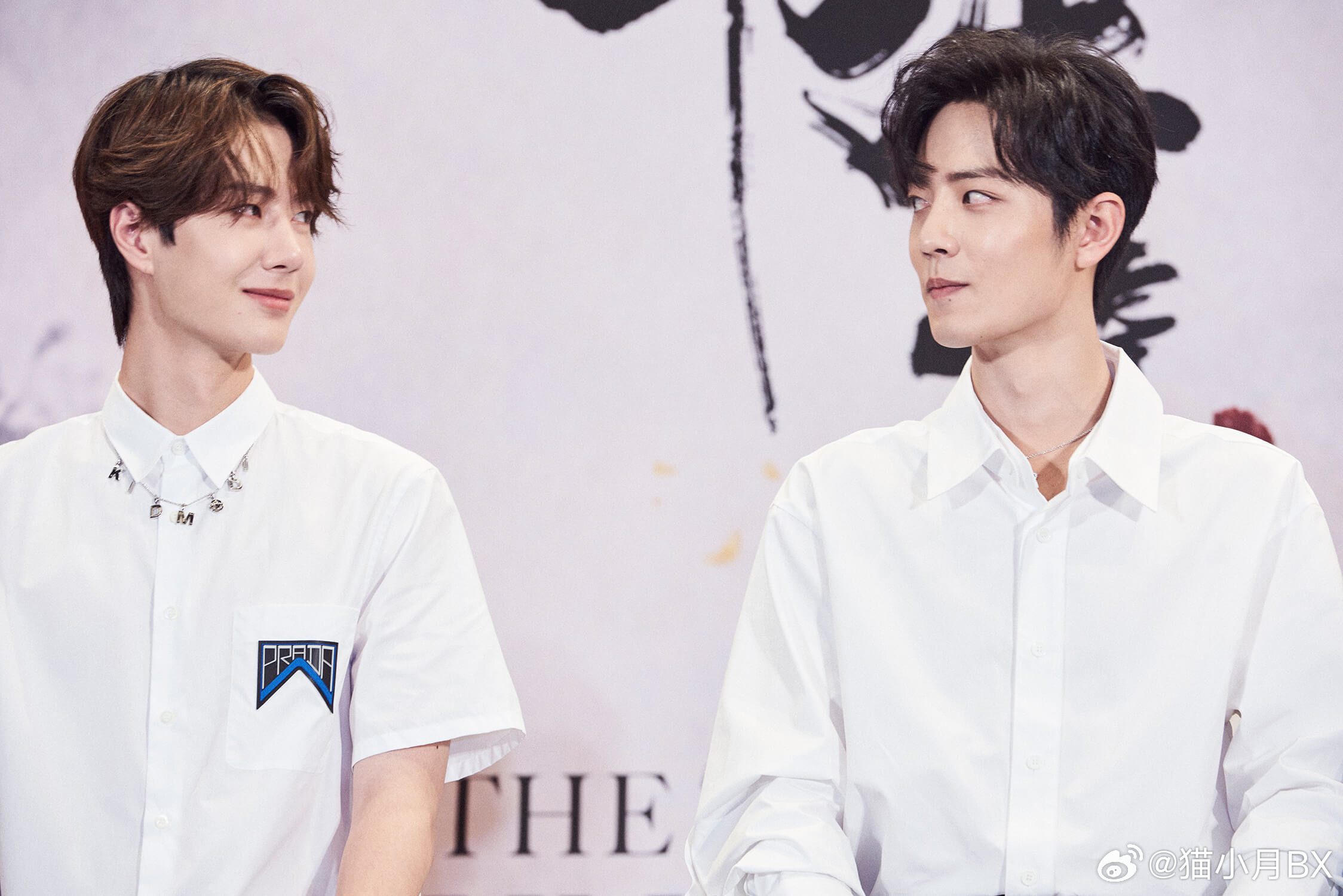 王中王一肖中特白,探尋背后的故事與奧秘,王中王一肖中特白,背后的故事與奧秘探尋