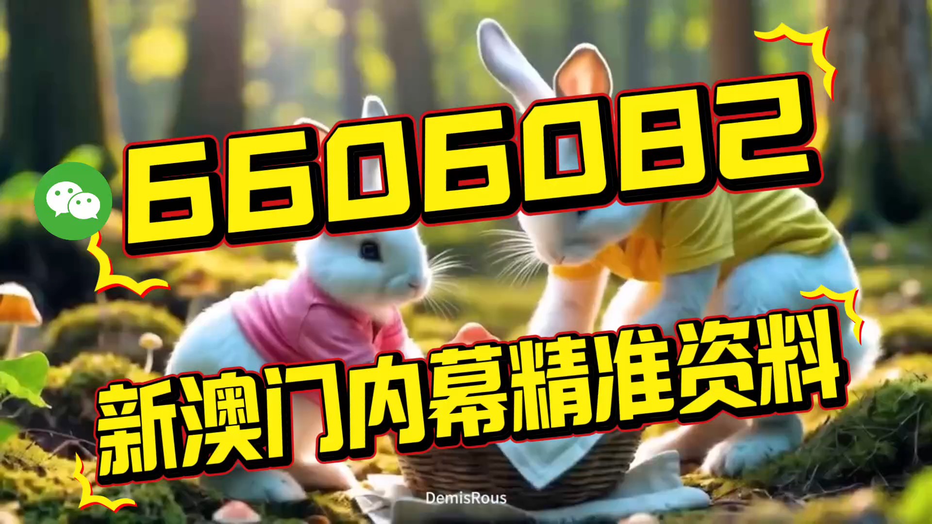 澳門內部三肖三碼中特，揭秘彩票背后的秘密，澳門彩票揭秘，三肖三碼中特背后的秘密探究