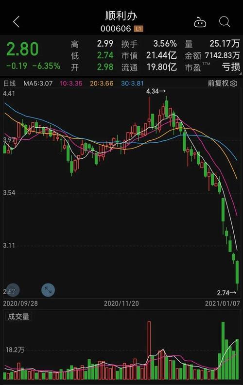 關于股票600205的全方位解析,股票600205全方位深度解析