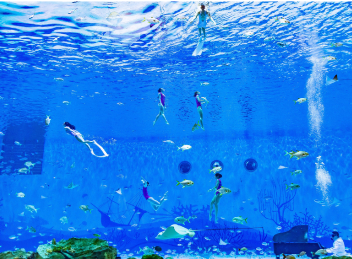 海昌海洋公園門票價格詳解，海昌海洋公園門票價格全面解析