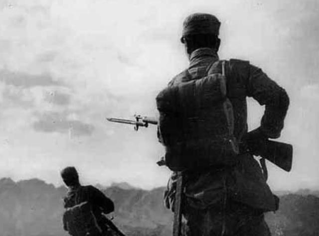 一肖中怎么賠,深度解析與策略探討,一肖中深度解析與策略探討,如何獲得賠償?