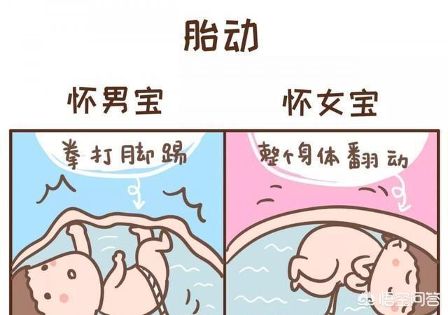 胎心率150是男孩還是女孩?解讀胎兒性別的真相,揭秘胎心率與胎兒性別之謎,胎心率150是男孩還是女孩?