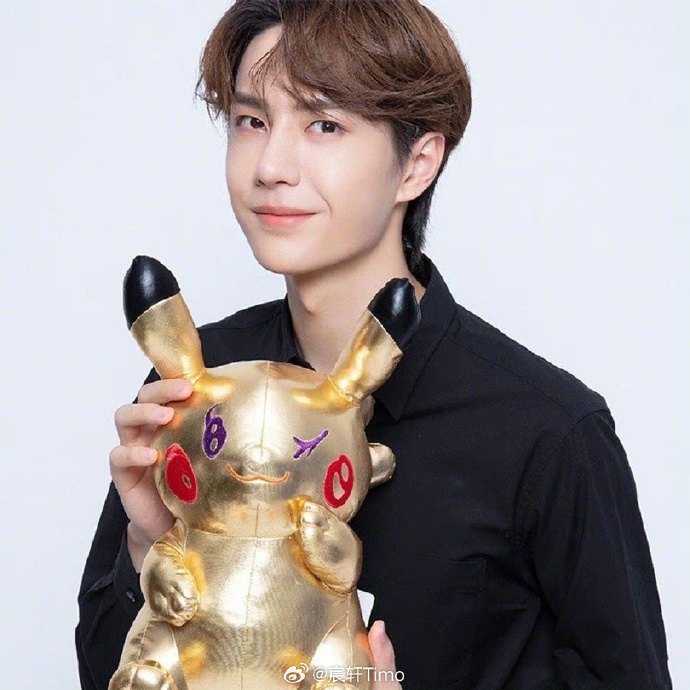 揭秘查王中王一肖中特，探尋背后的秘密，揭秘查王中王一肖中特背后的秘密真相