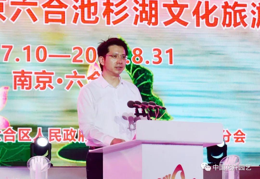 澳門最最快開獎六開，探索彩票開獎的奧秘與策略，澳門彩票開獎奧秘與策略探索，六開速覽