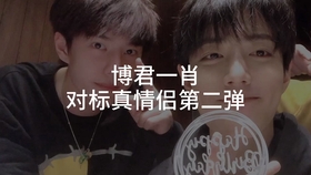 一肖拖一肖二中二有幾組——深度解析與探索，深度解析與探索，一肖拖一肖二中二有多少組組合？