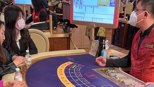 澳門今晚必開一肖一特,探索生肖彩票的魅力與策略,澳門生肖彩票探索,魅力揭秘與策略攻略