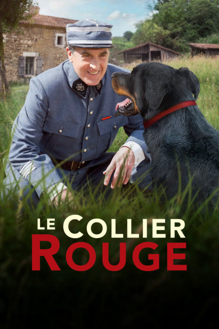 揭秘劉伯溫預言中的四不像必出一肖,劉伯溫預言揭秘,四不像預示必出一生肖