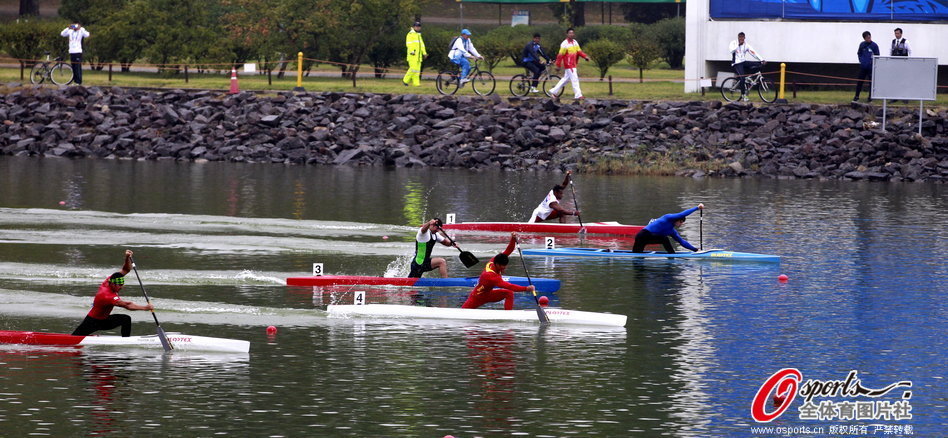 王中王選一肖一馬期期中，揭秘彩票背后的秘密策略，揭秘彩票背后的秘密策略，王中王選一肖一馬期期中之道