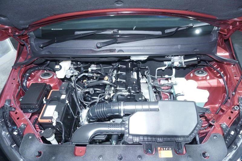 王中王四肖選一肖期期誰，揭秘彩票背后的秘密，揭秘彩票背后的秘密，王中王四肖選一肖期期的真相