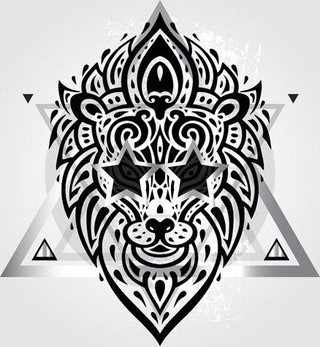 澳門四不像網(wǎng)，探索與解析，澳門四不像網(wǎng)深度探索與解析