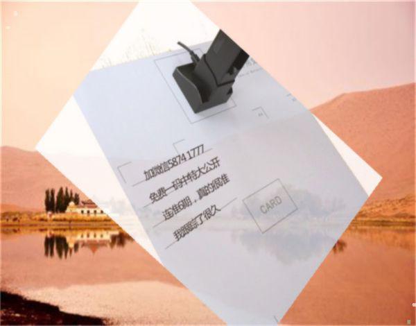 揭秘王中王特猜一肖的神秘面紗,揭秘王中王特猜一肖的神秘面紗,真相揭曉!