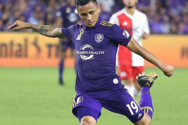 管家婆必中一肖圖正版，揭秘彩票背后的秘密與策略，揭秘彩票背后的秘密與策略，管家婆必中一肖圖正版分析