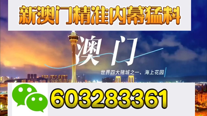 新澳門開獎結果，探索與解析，新澳門開獎結果深度解析與探索