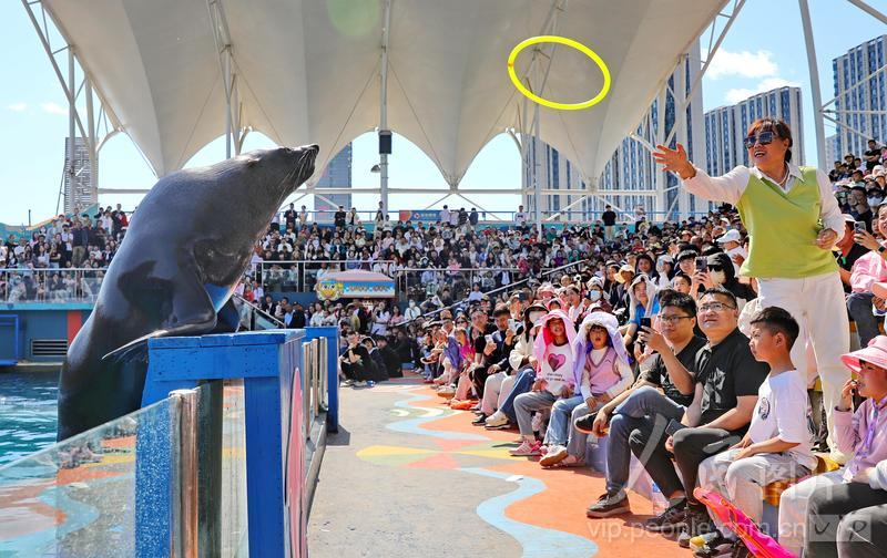 新澳2025今晚開獎結(jié)果揭曉,期待與驚喜并存,新澳2025今晚開獎結(jié)果揭曉,期待與驚喜交織的時刻