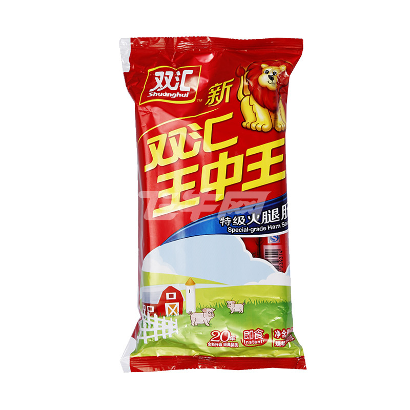 王中王一肖圖中特，深度解析與SEO優化策略，王中王一肖圖深度解析與SEO優化策略指南