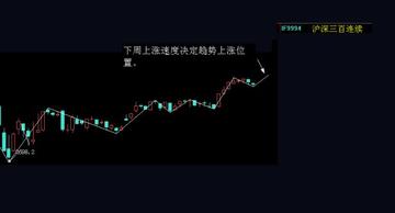 王中王300期指一生肖,揭秘背后的秘密與生肖運勢分析,揭秘王中王300期生肖選擇與生肖運勢深度解析