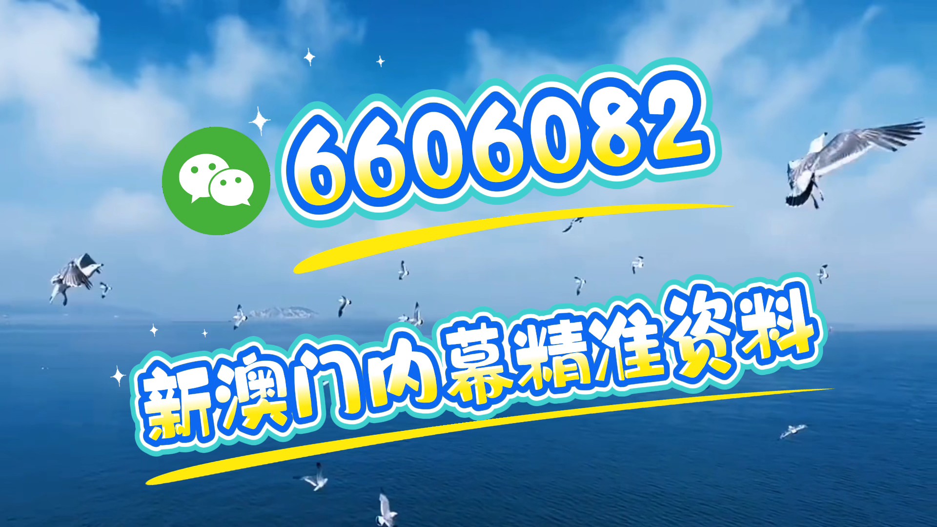 新澳門碼精準資料,探索與解析,新澳門碼精準資料深度解析與探索