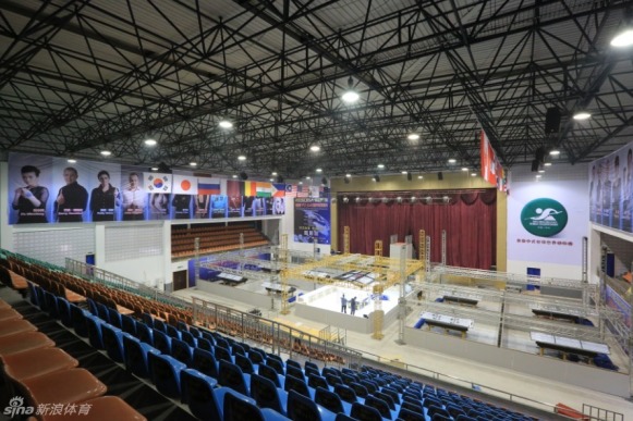 王中王一肖一馬中特平臺，探索與解析，王中王一肖一馬中特平臺深度探索與解析