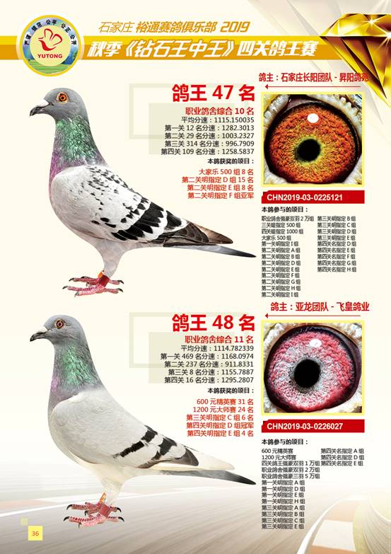 王中王一肖特四，深度解析與SEO優化策略，王中王一肖特四深度解析與SEO優化策略探討