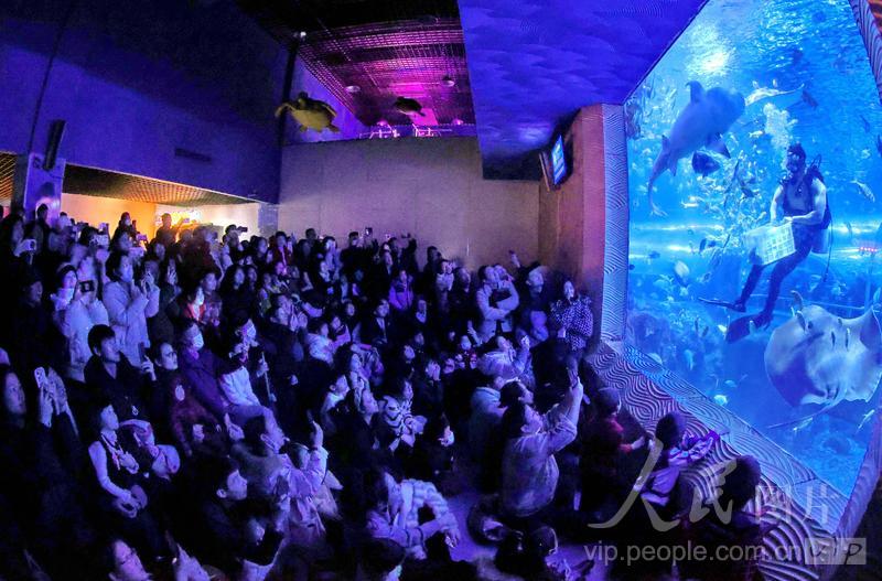 新澳2025今晚開獎結(jié)果查詢——全方位指南,新澳2025今晚開獎結(jié)果查詢,全方位指南