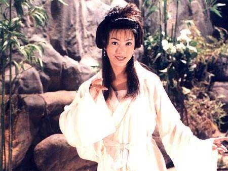 鹿鼎記的七位女主演,角色魅力與演技展現,鹿鼎記七位女主角色魅力與演技閃耀