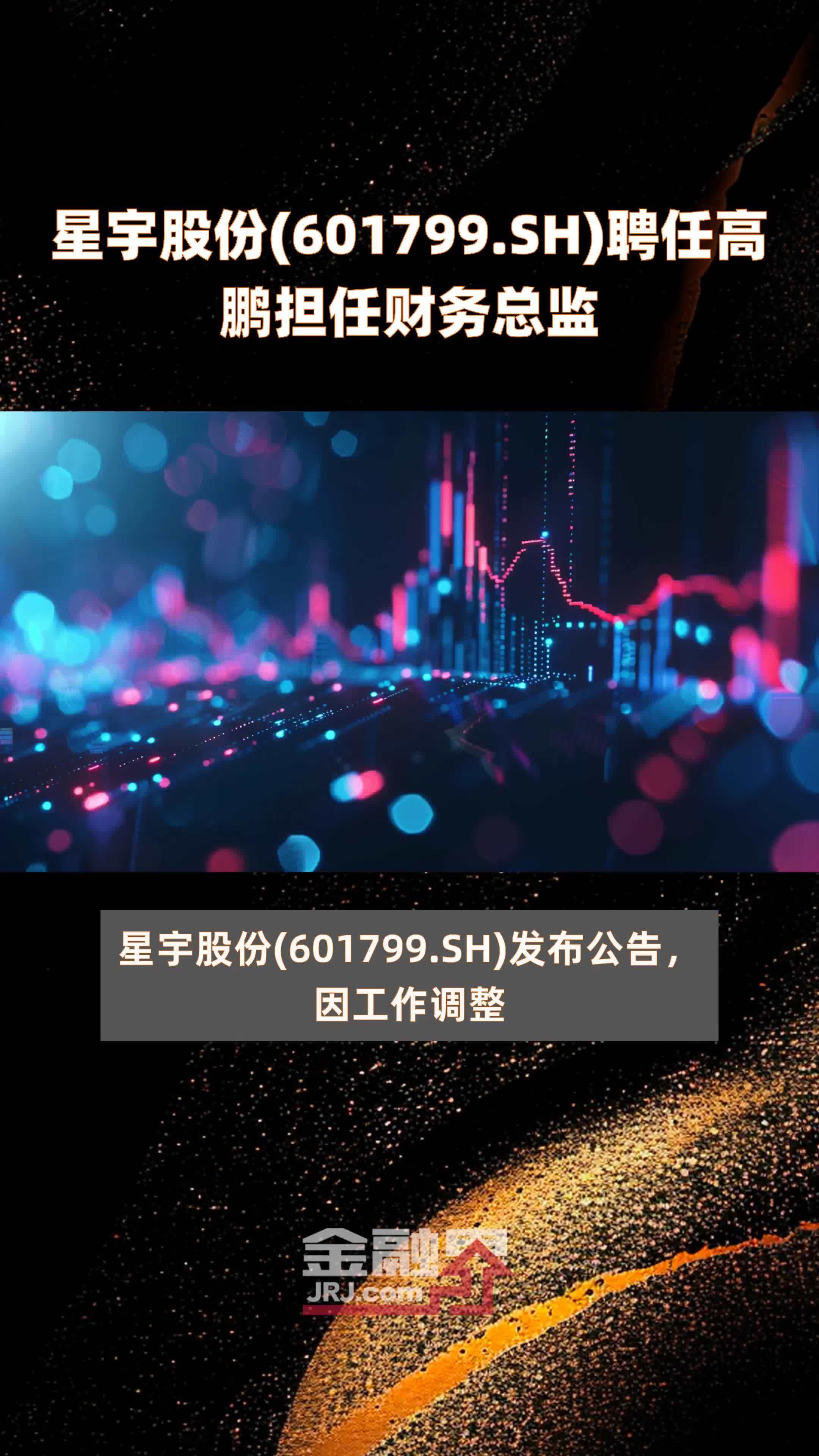 深度解析,星宇股票(601799)的投資前景與挑戰,星宇股票(601799)投資前景深度解析與挑戰分析