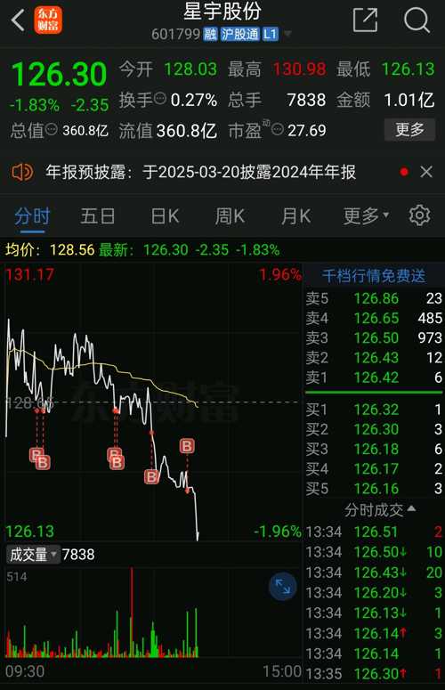 深度解析,星宇股票(601799)的投資前景與挑戰,星宇股票(601799)投資前景深度解析與挑戰分析