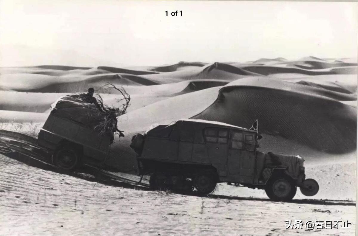 香港經典女明星,永恒的星光,香港經典女明星,永恒的星光閃耀