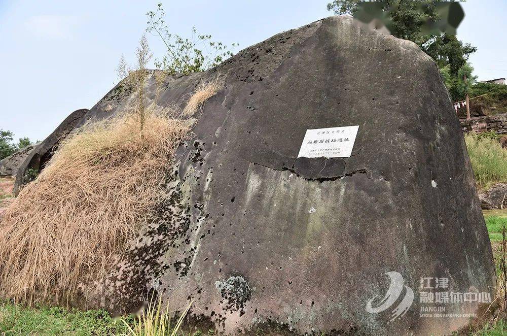 王中王70期指一生肖——深度解析與預(yù)測,王中王70期生肖深度解析與預(yù)測