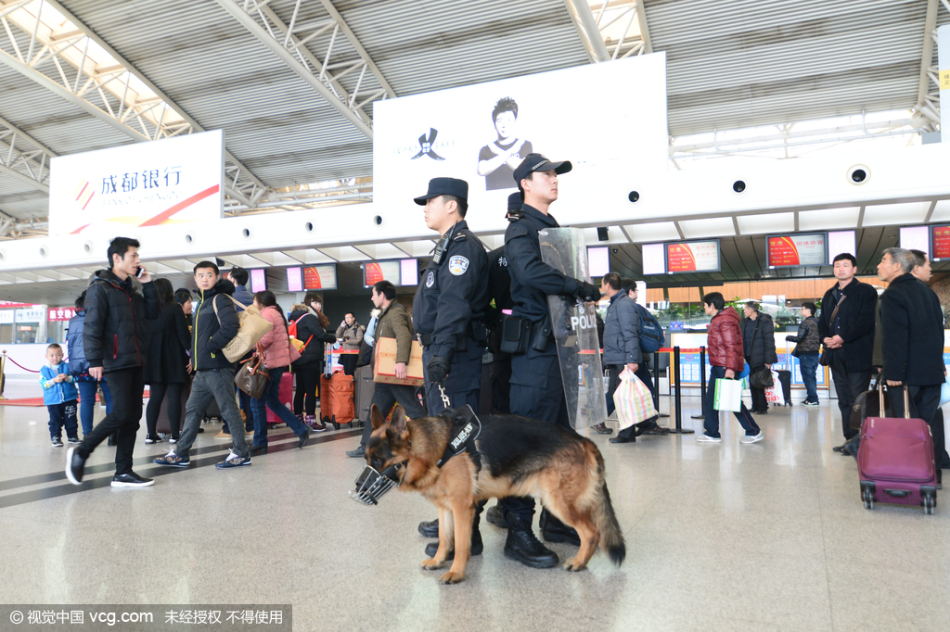 王中王正版四不像一肖圖,揭秘真相,解析SEO優化策略,揭秘真相,王中王正版四不像一肖圖與SEO優化策略解析