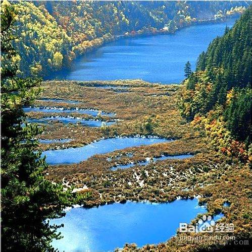 自己去九寨溝旅游攻略,探索神秘的自然美景,探索自然秘境,九寨溝旅游攻略,暢游神秘美景