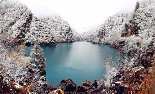 揭秘最佳旅游季節(jié),幾月份去九寨溝旅游最好?,揭秘最佳旅游季節(jié),揭秘幾月份去九寨溝旅游最佳體驗(yàn)?