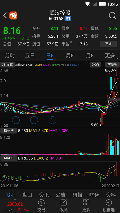 武漢控股股票(股票代碼,600168)深度解析,武漢控股股票(股票代碼600168)全面深度解析