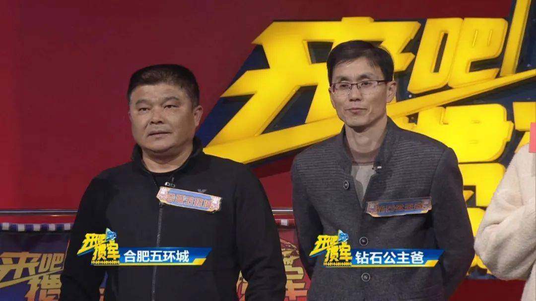 王中王資料與一肖中特,深度解析與探索,王中王資料與一肖中特深度解析與探索揭秘