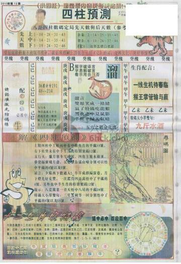 王中王動(dòng)物一肖圖，深度解析與SEO優(yōu)化，王中王動(dòng)物一肖圖深度解析與SEO優(yōu)化策略探討