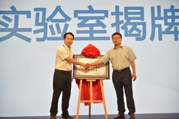 寧波聯合股票,深度解析與前景展望,寧波聯合股票,深度剖析與未來展望