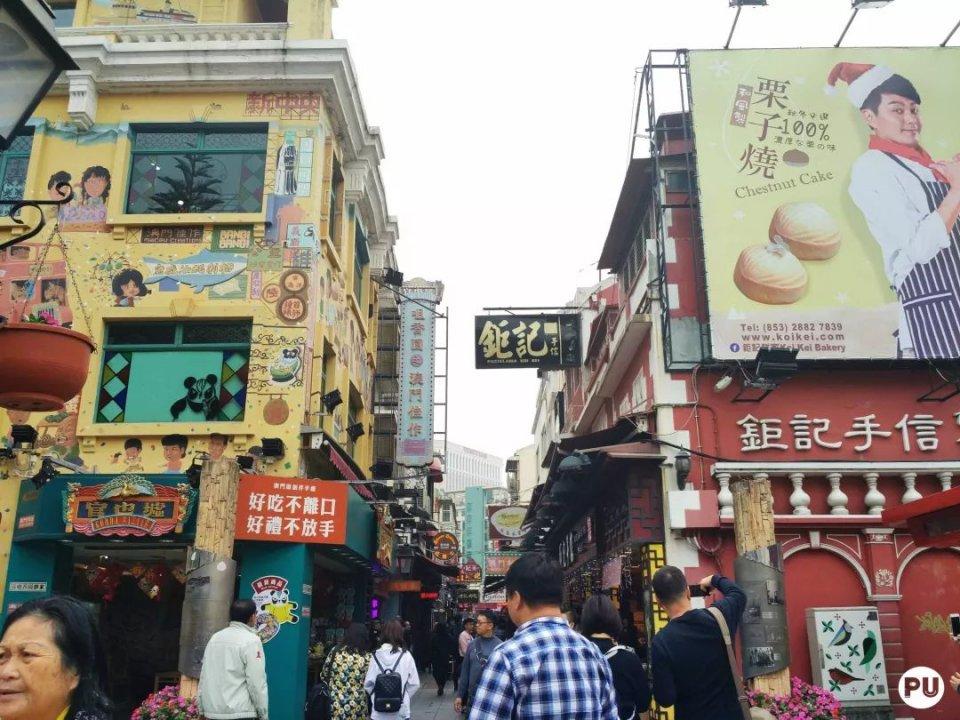 澳門六開獎結果115,深度解析與預測分析,澳門六開獎結果深度解析與預測分析報告