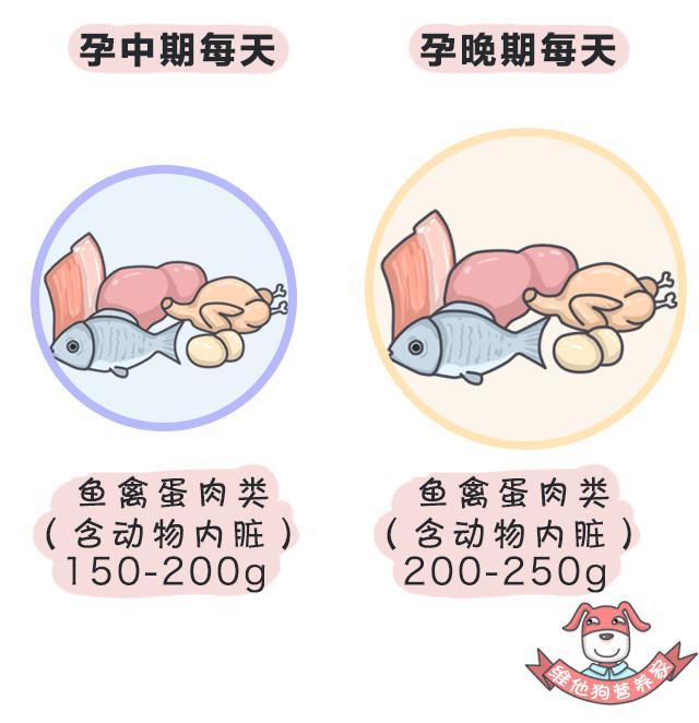 孕婦每日營養(yǎng)菜譜大全,健康飲食,呵護(hù)母嬰健康,孕婦每日營養(yǎng)菜譜大全,呵護(hù)母嬰健康的健康飲食指南