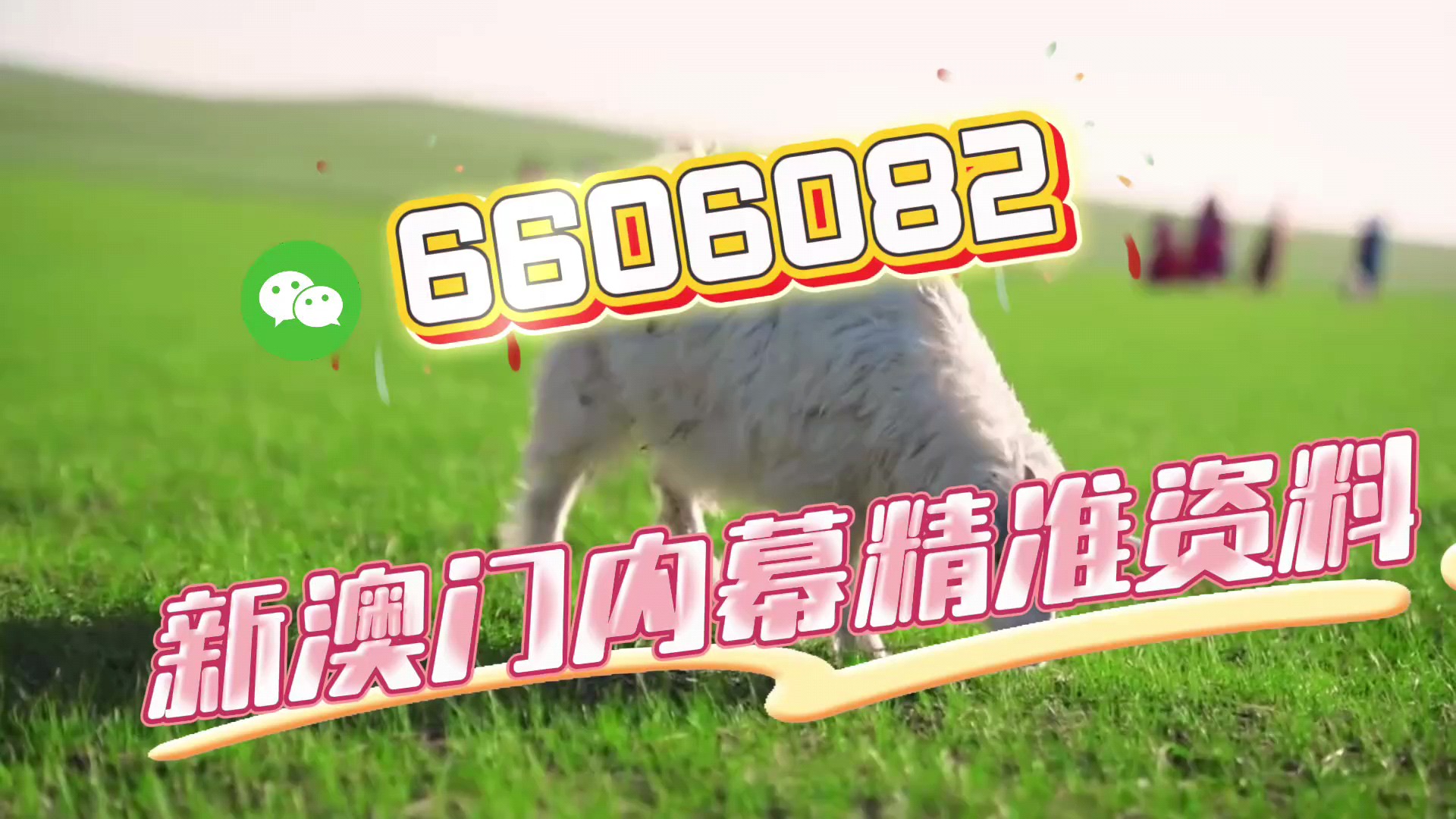 澳門王中王,一肖一特一中與180的神秘面紗,澳門王中王,揭秘一肖一特一中與180的神秘面紗