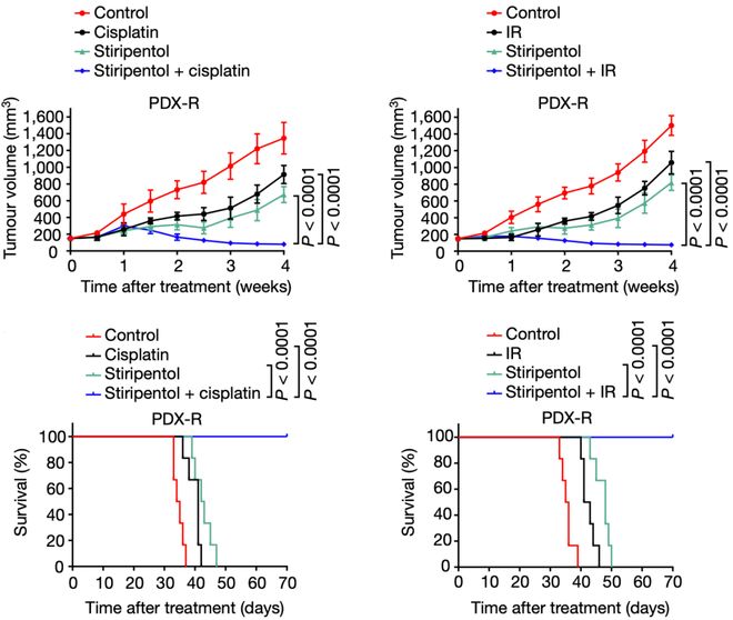 乳酸脫氫酶偏高的原因及其影響,乳酸脫氫酶偏高原因及其影響解析