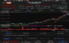 上海萊士股吧,深度解析與前景展望,上海萊士股吧深度解析及前景展望