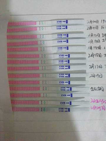 一直弱陽(yáng)就是沒(méi)排卵嗎?解析排卵檢測(cè)中的誤區(qū)與真相,解析排卵檢測(cè)中的誤區(qū)與真相,一直弱陽(yáng)是否意味著沒(méi)有排卵?