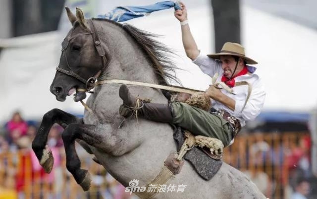王中王四不像一肖中馬——探尋神秘生肖的魅力，探尋神秘生肖馬之魅力，王中王四不像一肖中馬揭秘